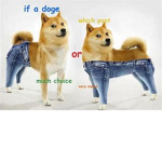 doge clanz