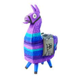 #PRO FORTNITE GAMERS