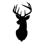 Rays Antlers
