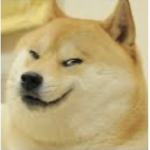 Doge of the army
