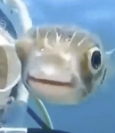 GoofyFishWorks