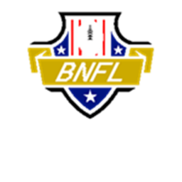 BNFL: Silverlight Stadium