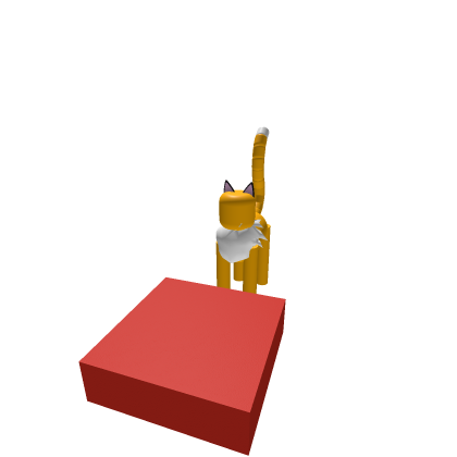 Orange&amp;White Cat