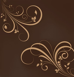 ୨ৎ :: coco