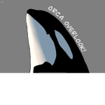 ~ Orca Overlook ~