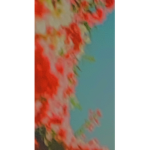 CloudyxxArmy