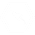 Quantum Science Space Agency ( Q S I )