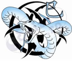 DBFA Snake Clan