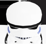 [The Council of Cadets]