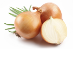 onionsss