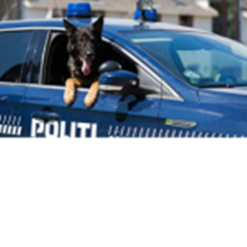 police dk jonas game