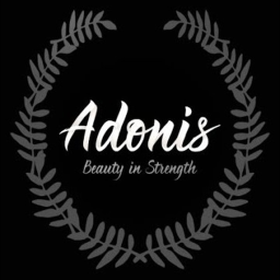Adonis Admin Testing (Unnofficial)