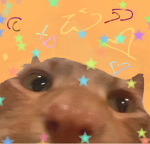 kittyfanfiercekat78