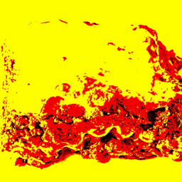 Lasagna