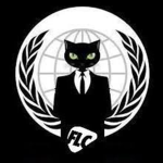Anonymous Cat