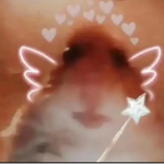 Spaceshipxarmy