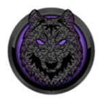Shadow Council [SWFO:RP]