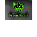 Green Beret Alpha Team