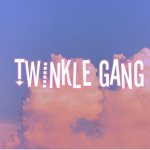 🤩twinkle gang🤩