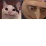 candy oof group