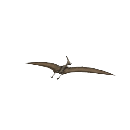 pteranodon mesh