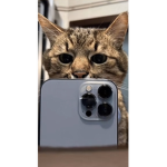 Ter...