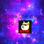 doge the mlg dog