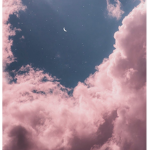 •cloud crew•