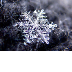 My Šnowflakes