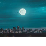 ! moon city