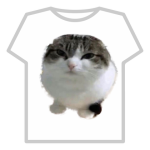 aerodynamic cat
