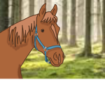 The Equestrian Hawks