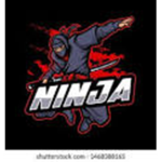 true_ninja