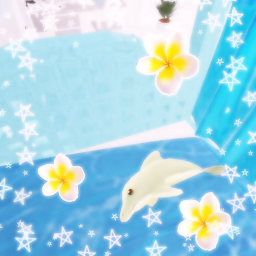 🐬