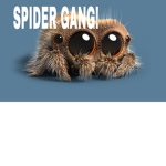 Spiderwebs