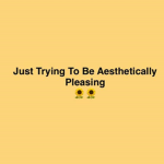 "aEsThEtIcAlLy pLeAsInG vIbEs"