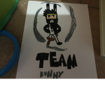 THE OFFICAL team bunny group!