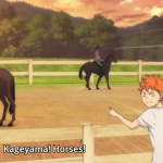 Loving horses <3