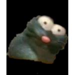 The fachrmale