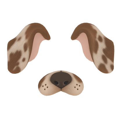 puppy filter