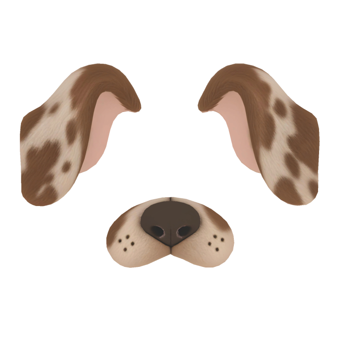 puppy filter