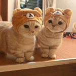 lemon_latte's squad