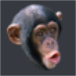 Eggs RBX Fan Group