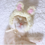 ~*Kawaii Babies*~