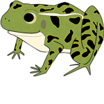 Among us and frog group