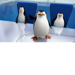ok penguins