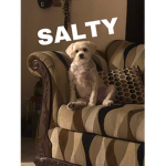 $ALTYx