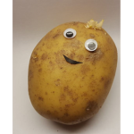 My baby potatoes