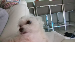Zeke fanpage