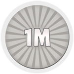 Net Worth - 1M